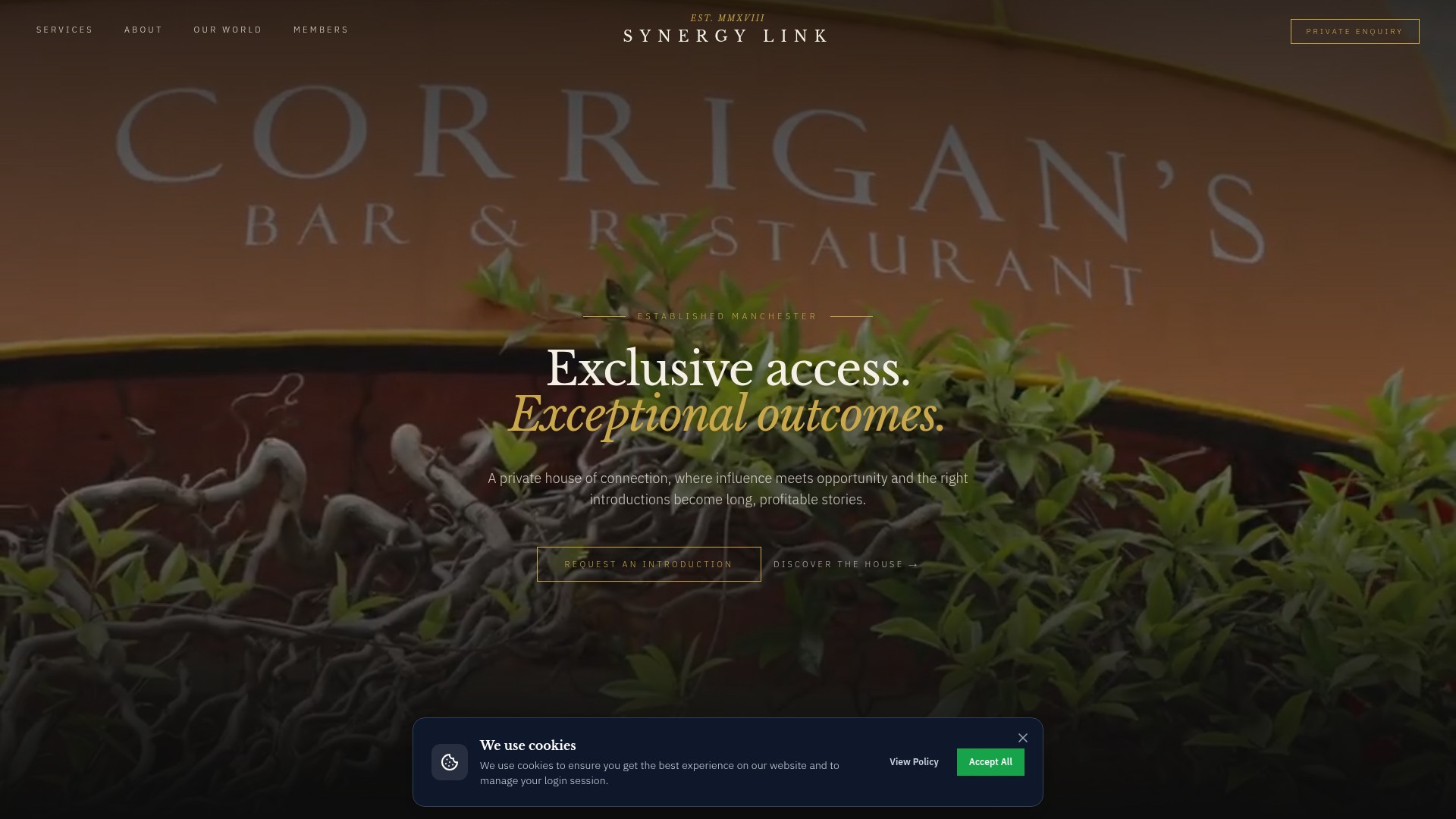 SynergyLink website preview